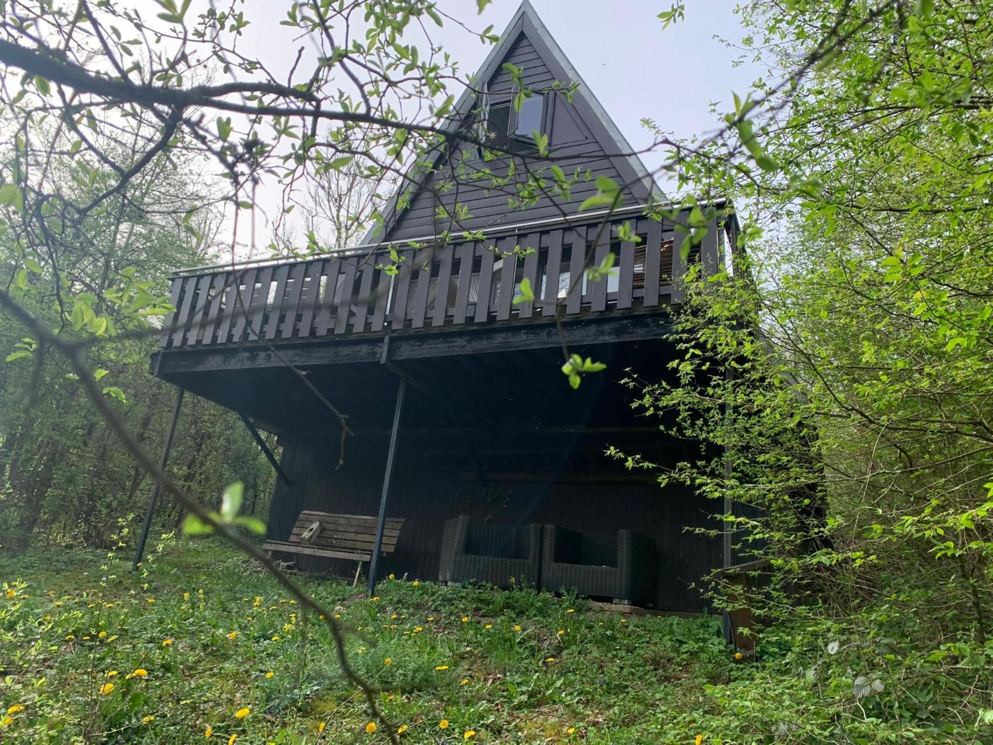 Heerlijk Vakantiehuis In Bos Bij Durbuy Esterno foto