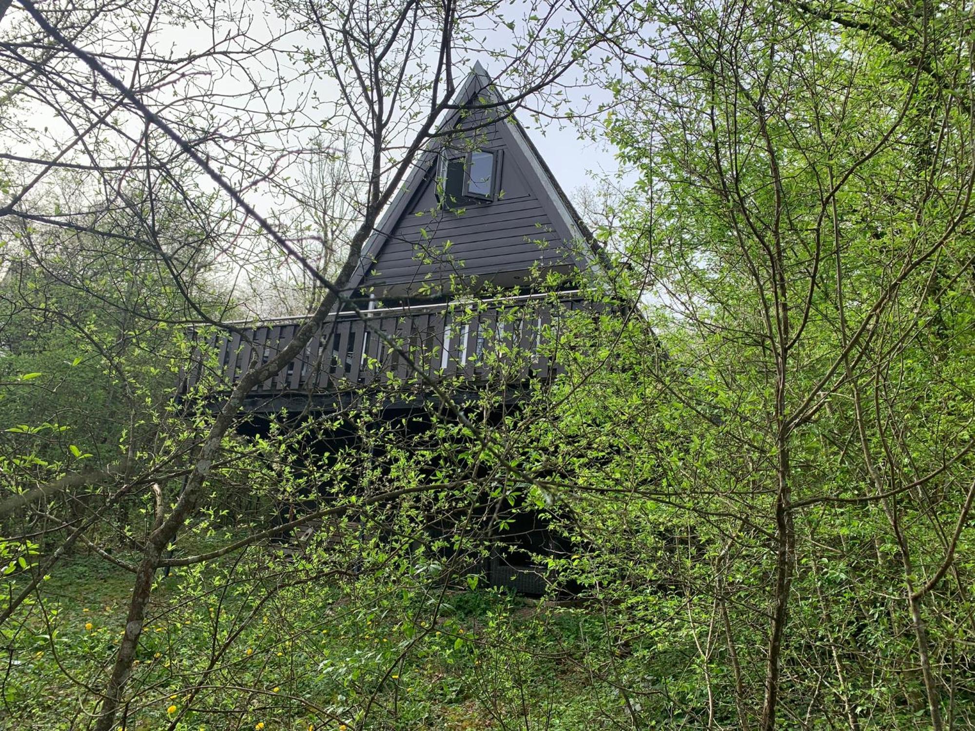 Heerlijk Vakantiehuis In Bos Bij Durbuy Esterno foto