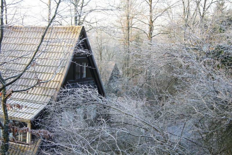 Heerlijk Vakantiehuis In Bos Bij Durbuy Esterno foto